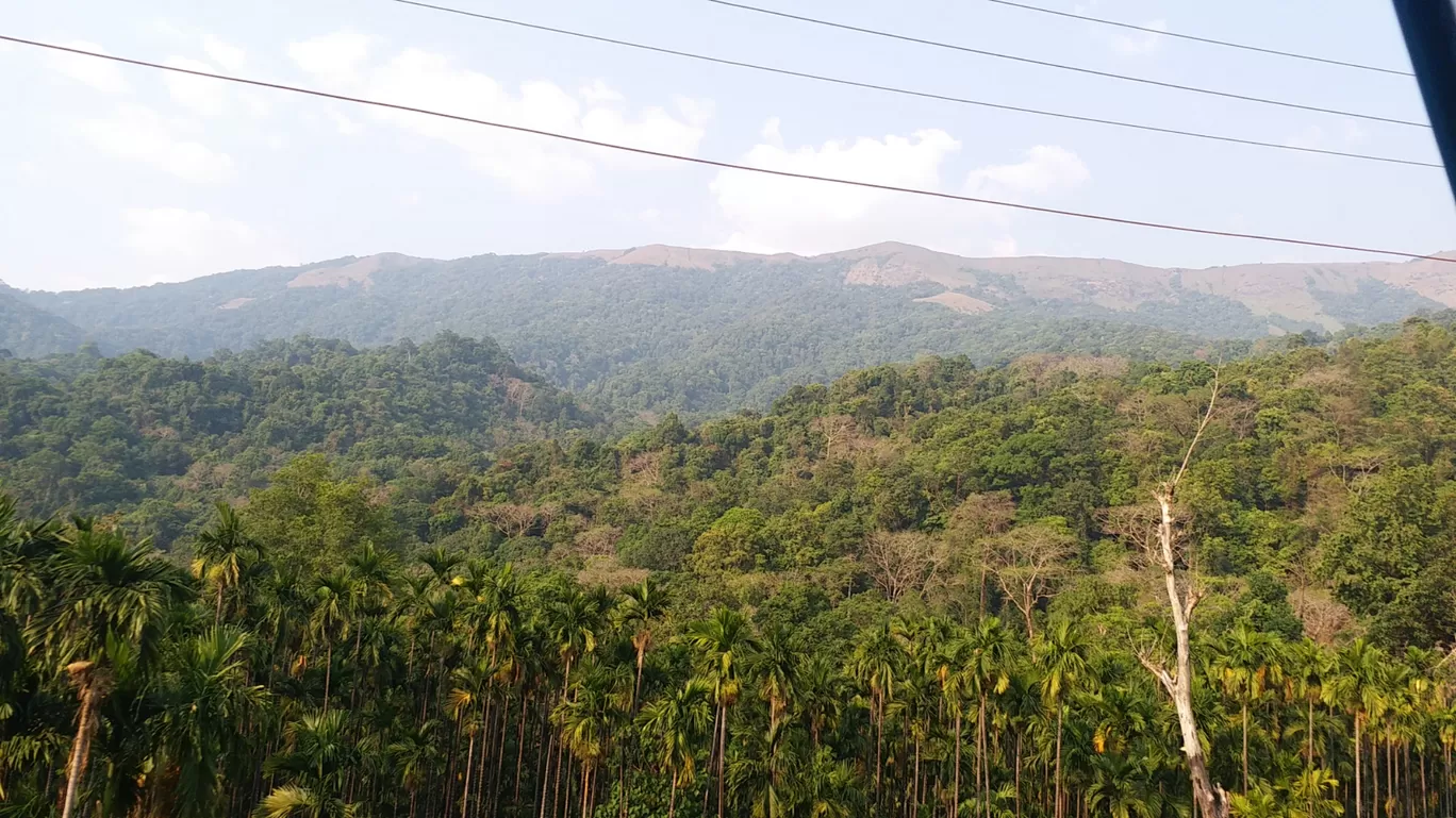 Photo of Sampaje By Rajbhagath