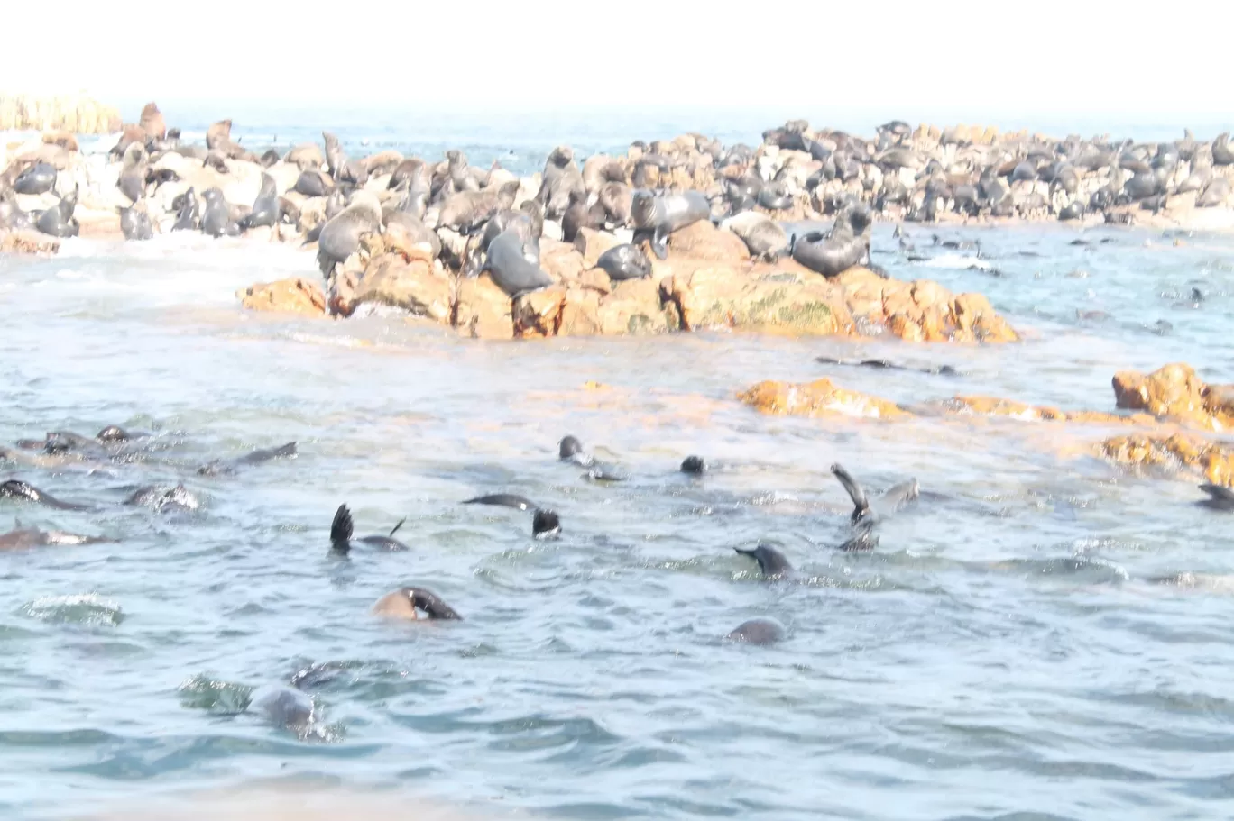 Photo of Gansbaai By Pooja M Bhavsar