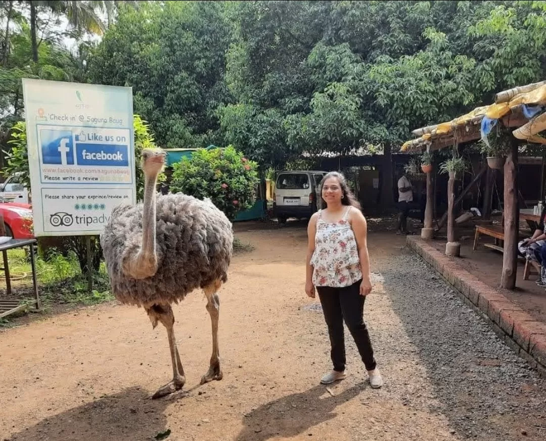 Photo of Saguna Baug Agro Tourism Resort By Pooja M Bhavsar