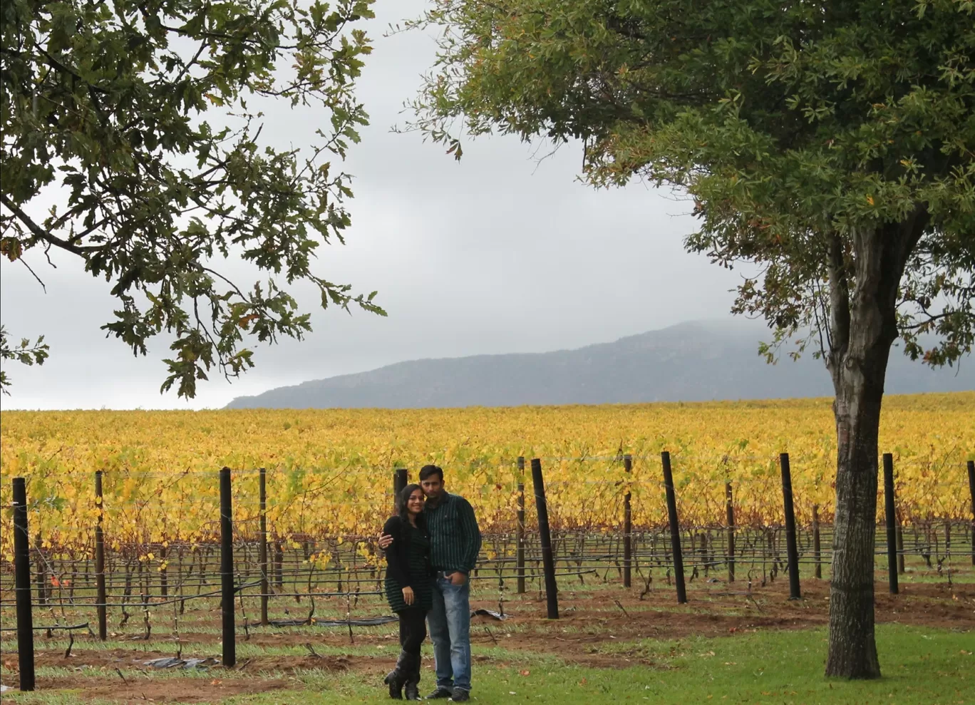 Photo of Groot Constantia Estate By Pooja M Bhavsar