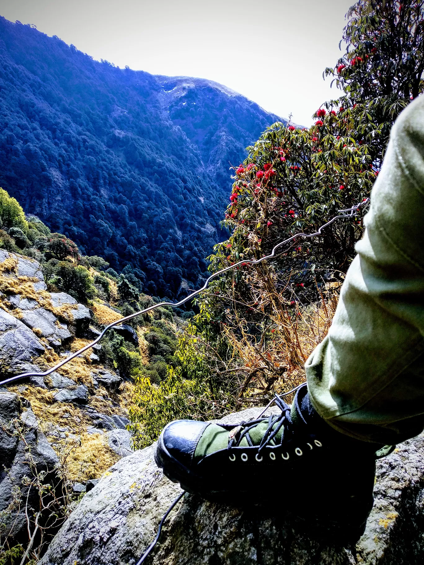 Photo of Dharamkot By Soumik Chakravarty