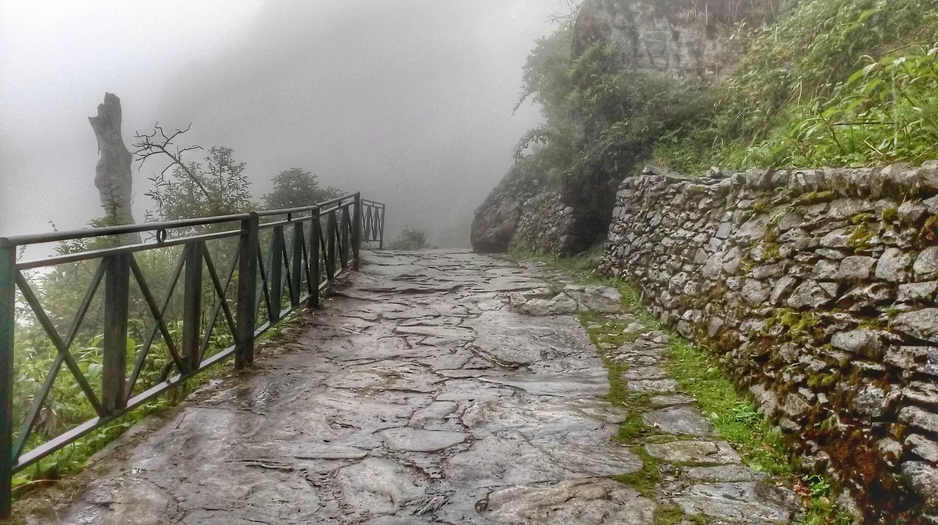 Photo of Chamoli By ahappy_soul_