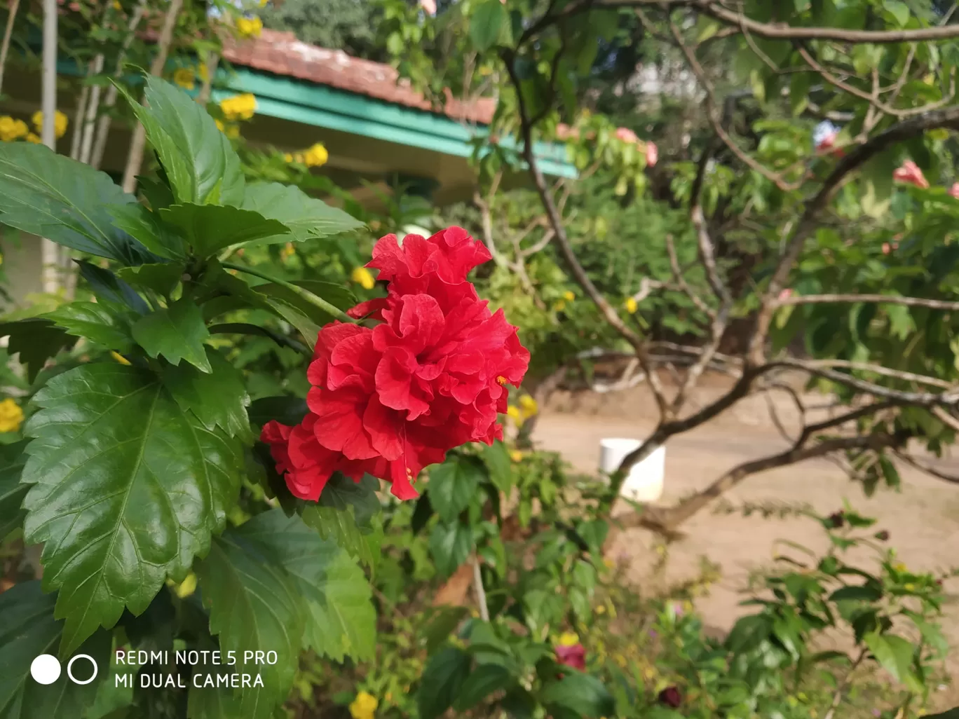 Photo of Peechi By Neethu Sarah Alexander 