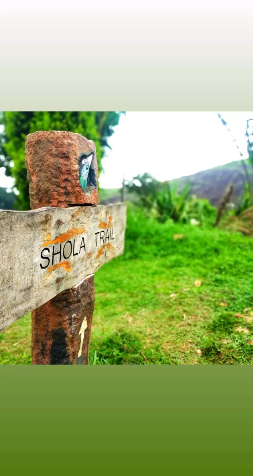 Photo of Ponmudi Hill Station By Neethu Sarah Alexander 