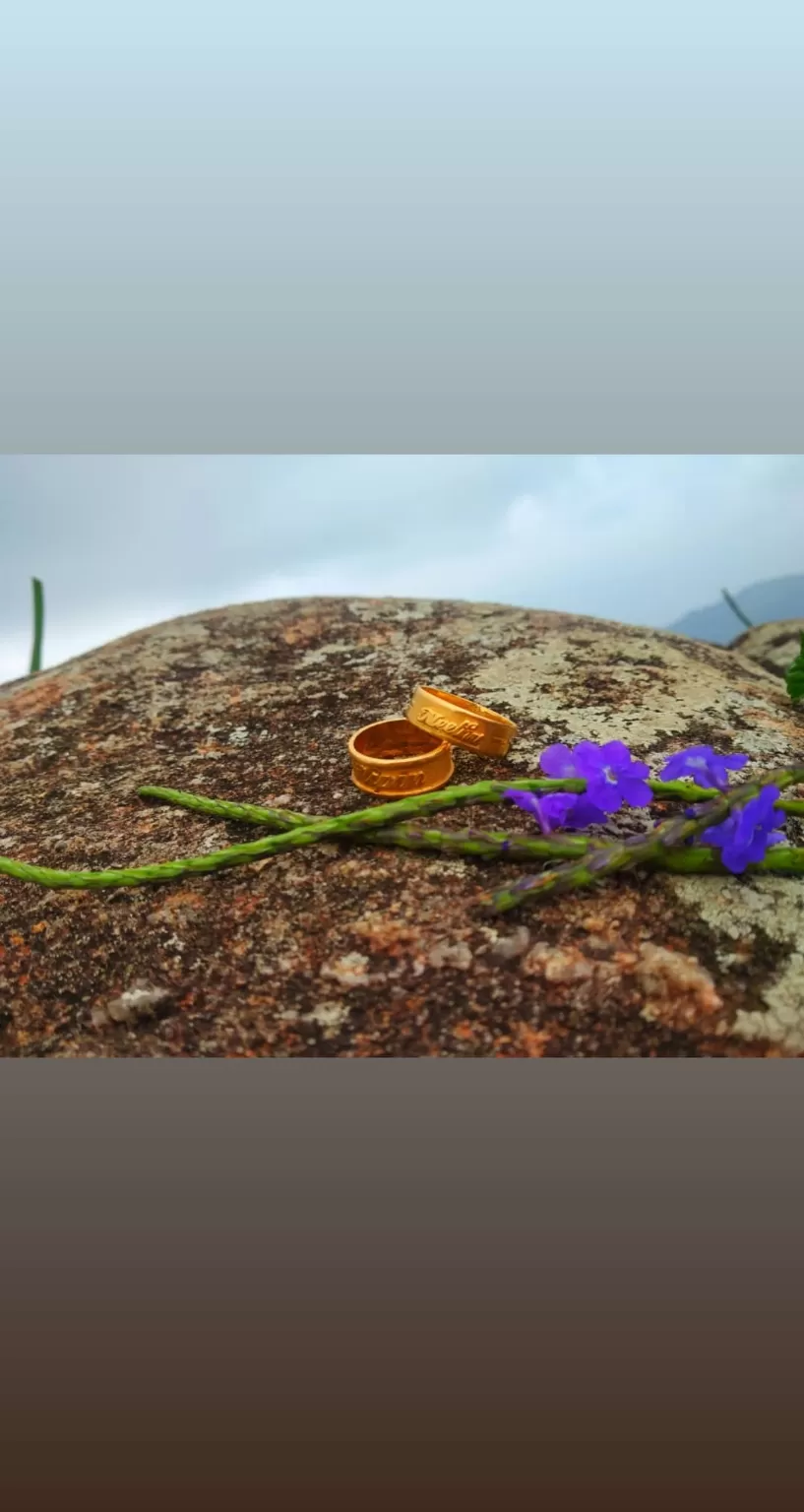 Photo of Ponmudi Hill Station By Neethu Sarah Alexander 