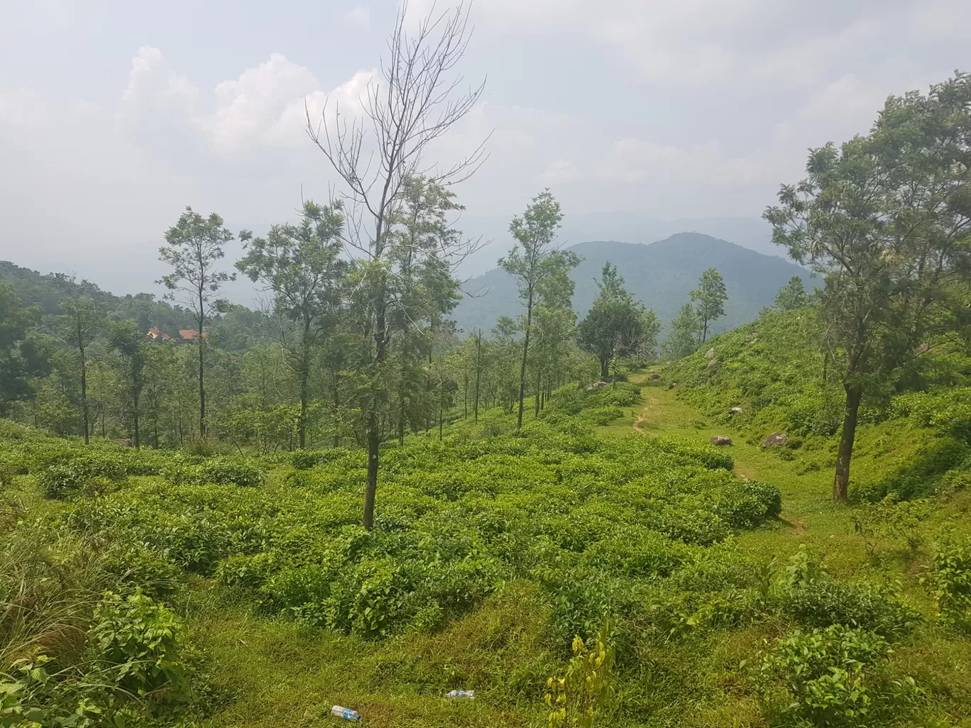 Photo of Ponmudi Hill Station By Neethu Sarah Alexander 