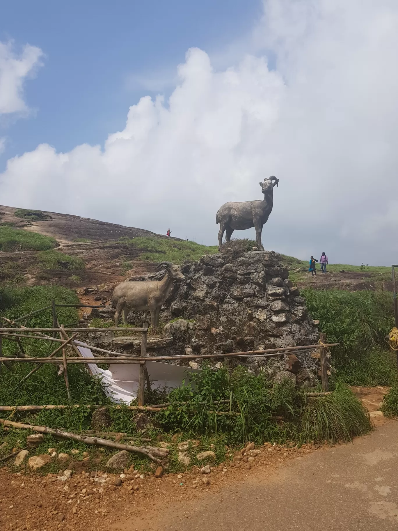 Photo of Ponmudi Hill Station By Neethu Sarah Alexander 