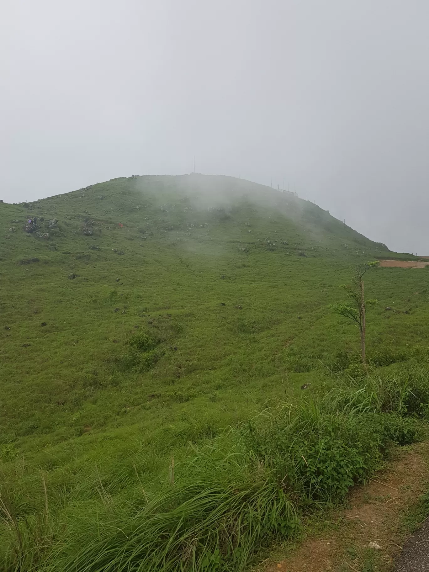 Photo of Ponmudi Hill Station By Neethu Sarah Alexander 