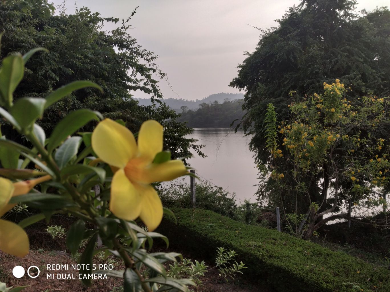Photo of Peechi Dam : Thrissur -Kerala By Neethu Sarah Alexander 