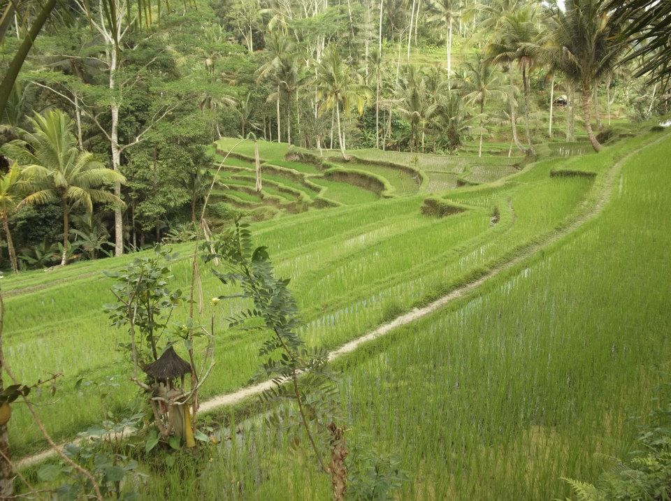 Photo of When in Bali By Faye Rodrigues