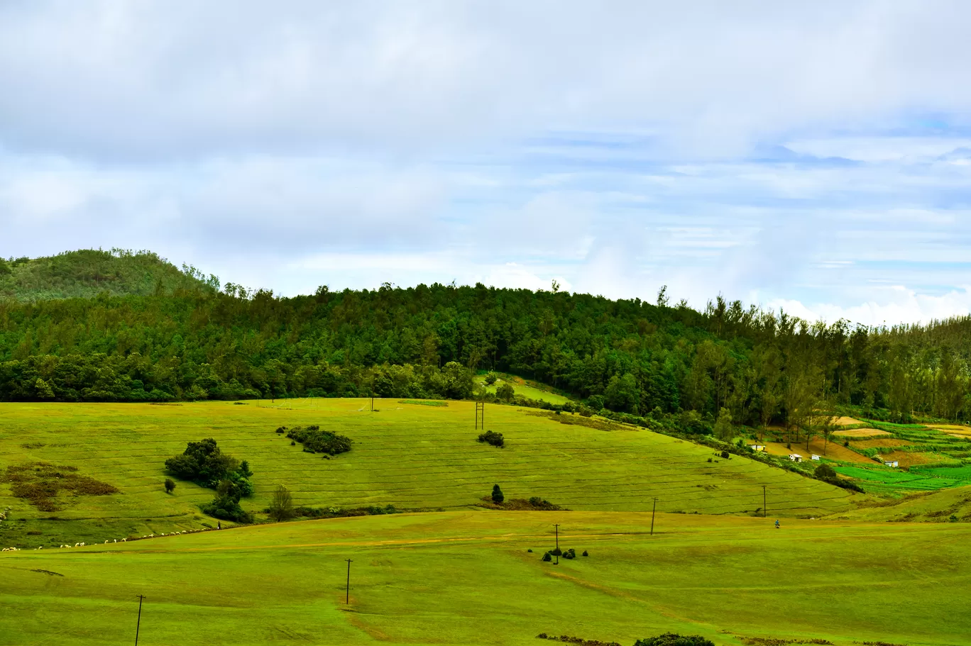 Photo of Ooty By Shameek Mukhopadhyay