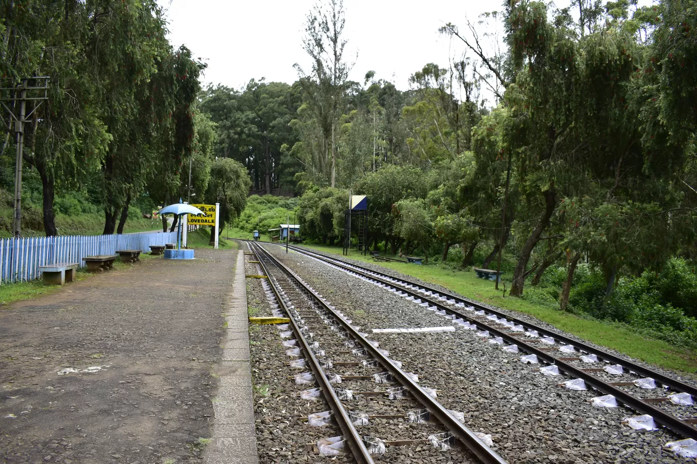 Photo of Ooty By Shameek Mukhopadhyay