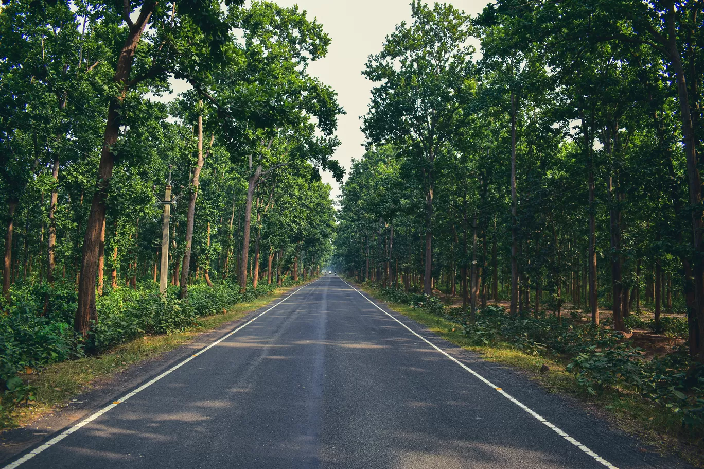 Photo of Jhargram By Shameek Mukhopadhyay