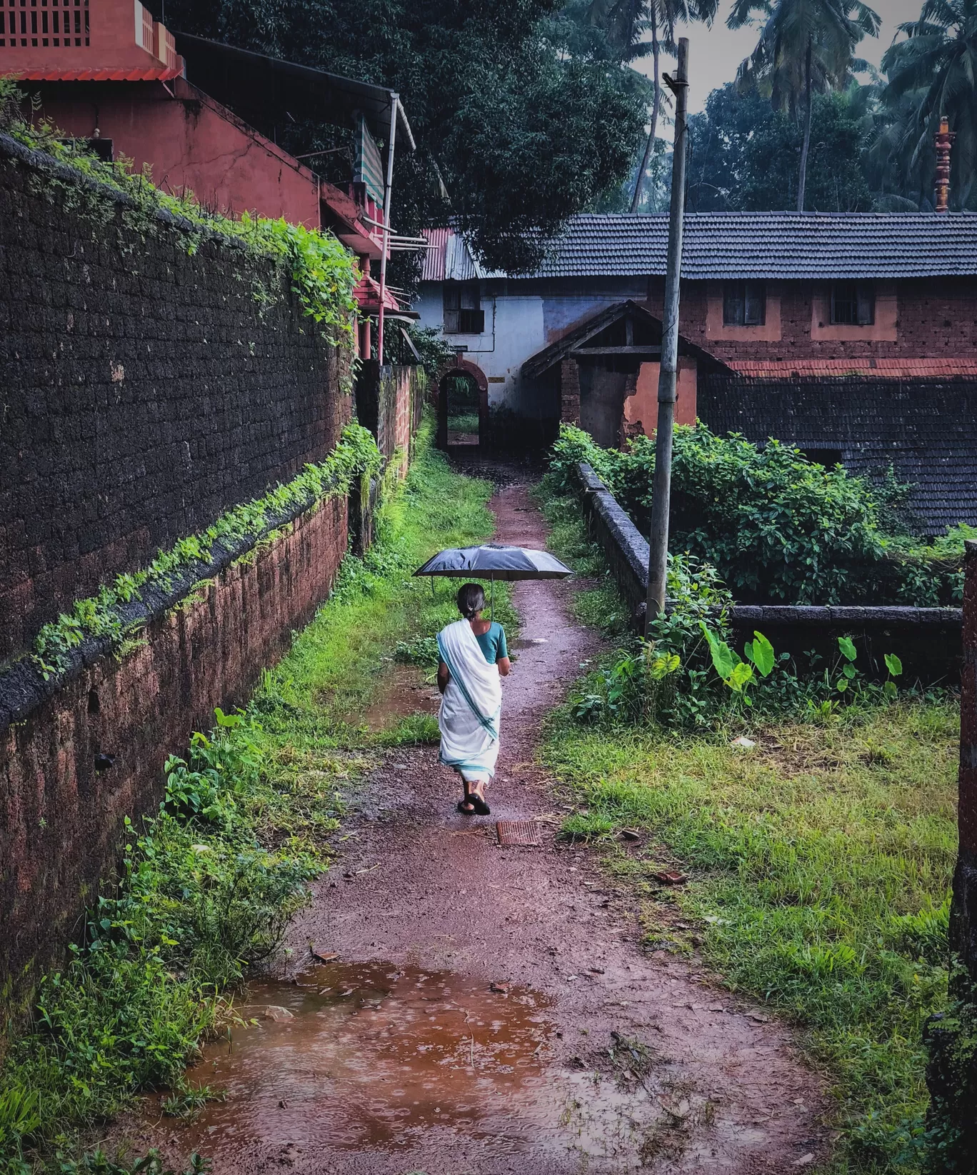 Photo of Kerala By Aswathi Menon