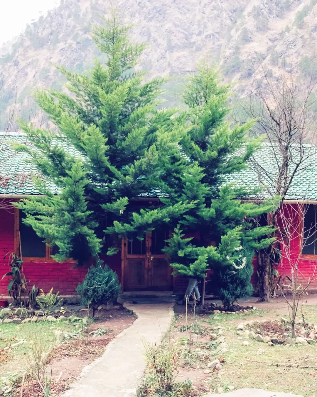 Photo of Kasol By Abhinay Pande
