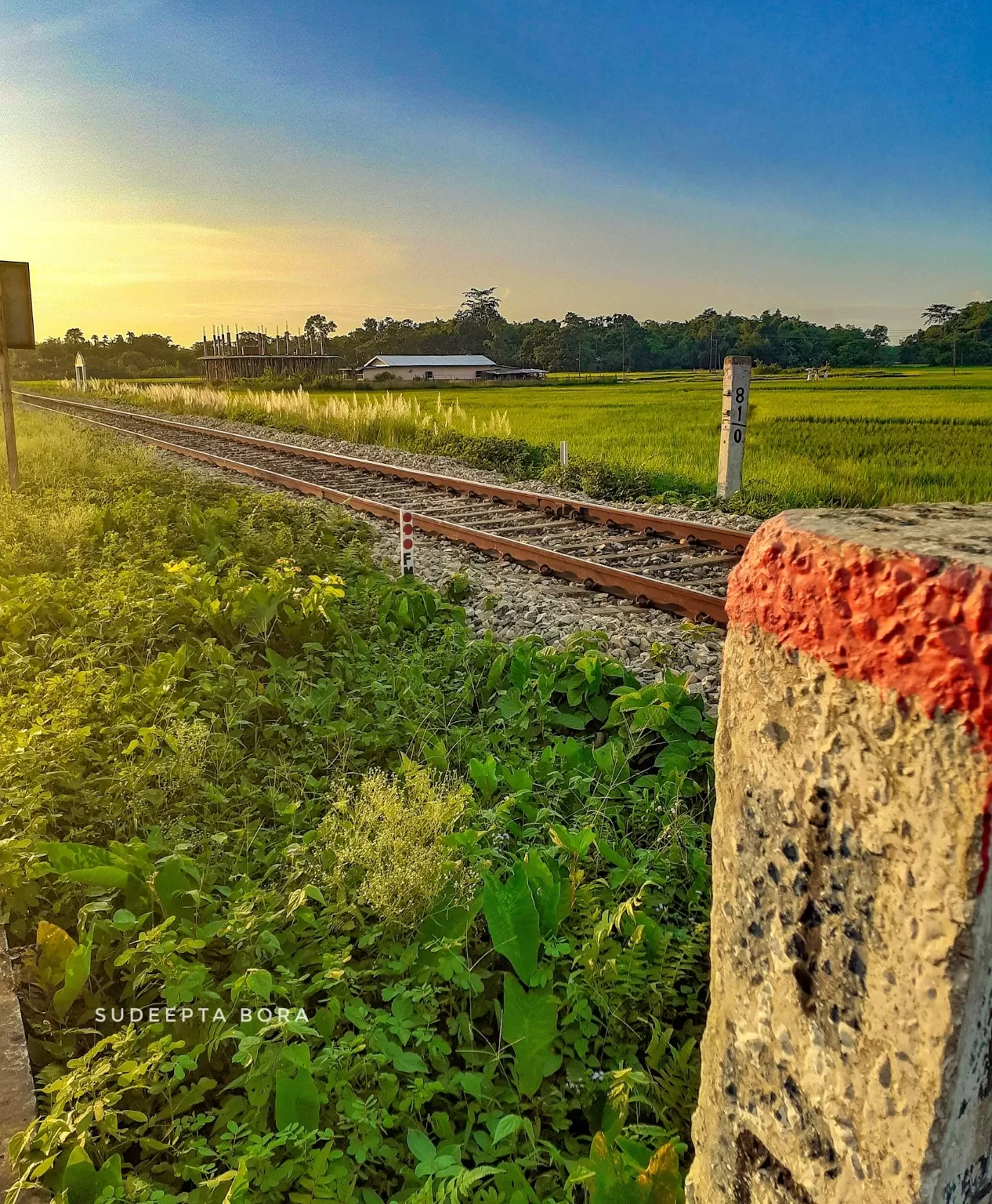 Photo of Assam By Sudeepta Bora