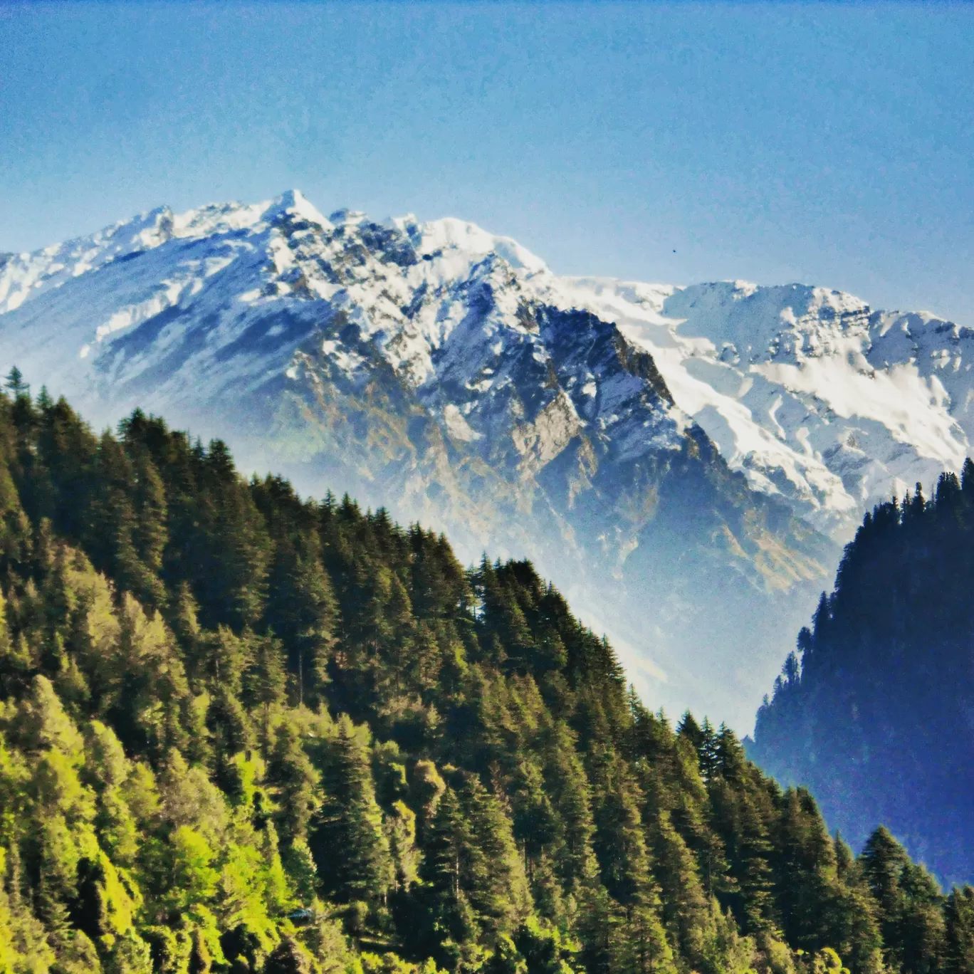 Photo of Dehradun By Ashutosh Jha