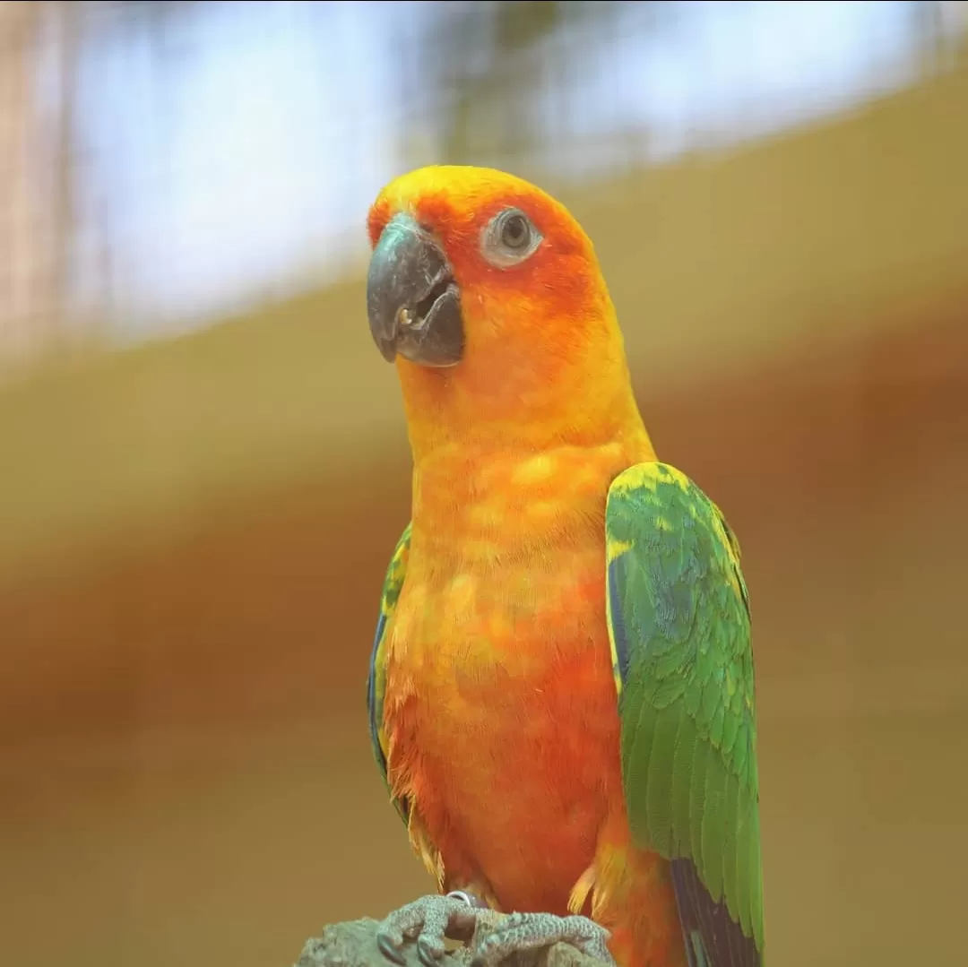 Photo of Dehradun Zoo By Ashutosh Jha