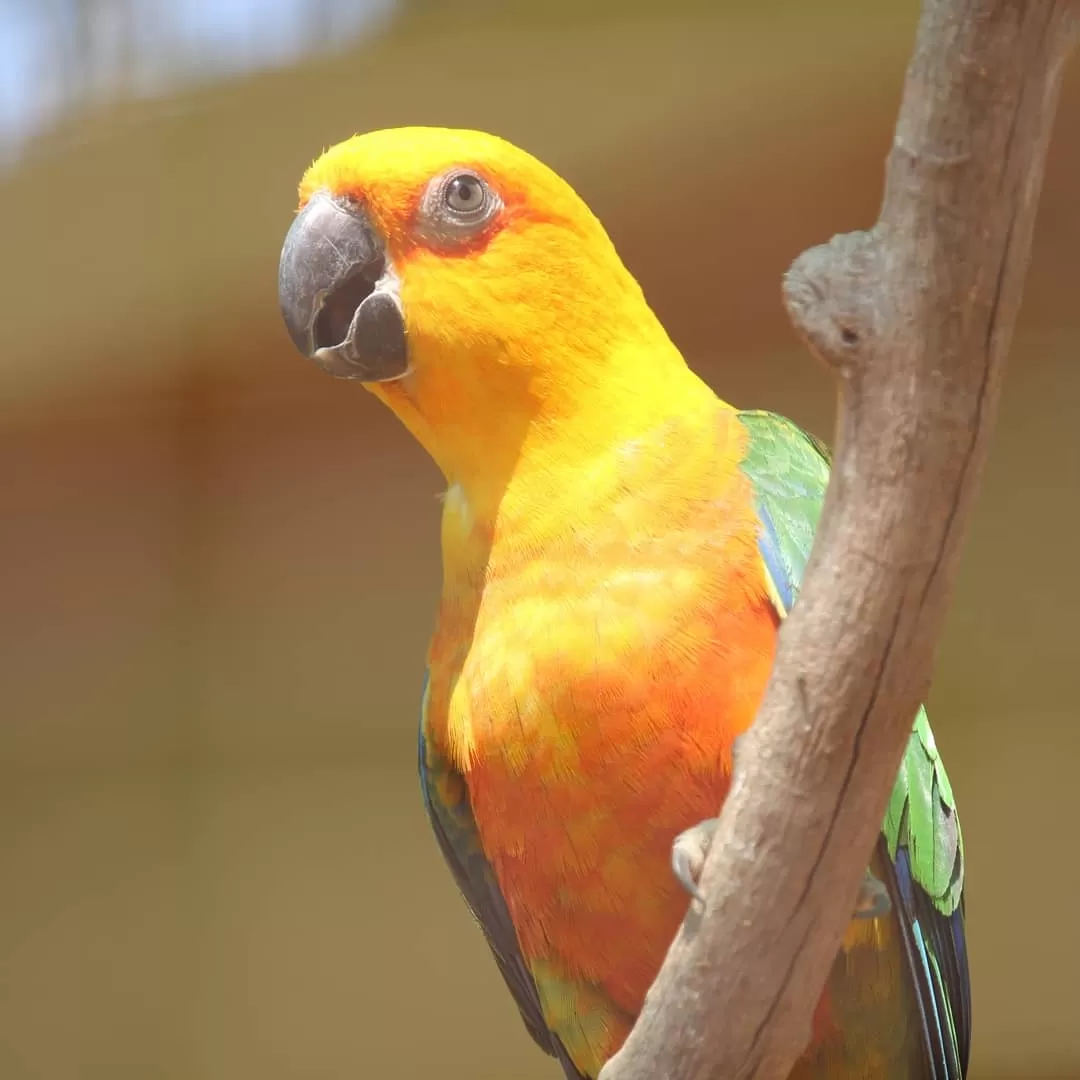 Photo of Dehradun Zoo By Ashutosh Jha