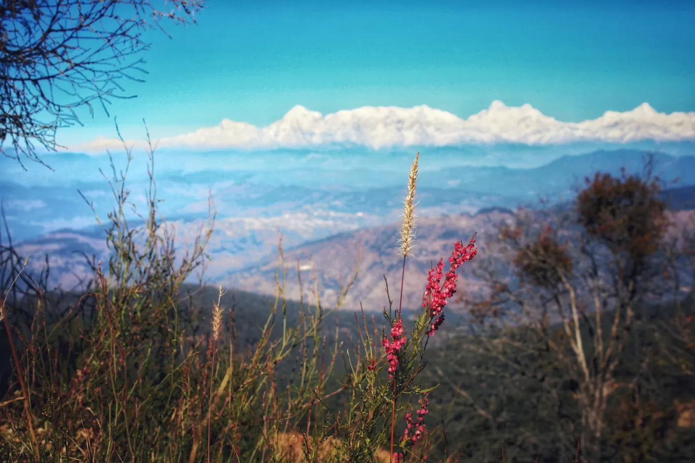 Photo of Mukteshwar By Rajat Kamboj