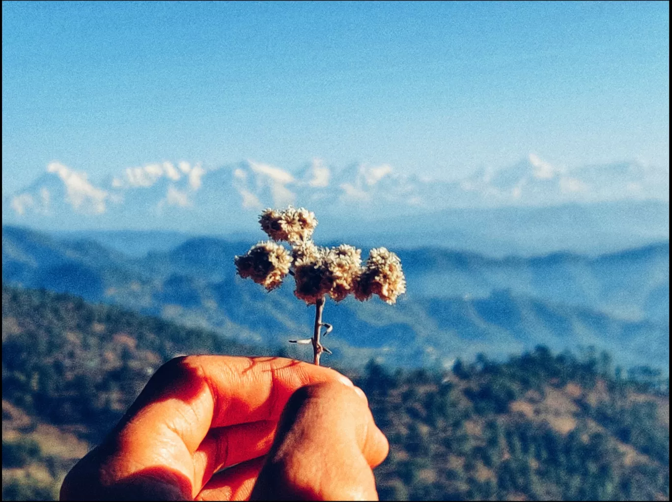 Photo of Uttarakhand By Rajat Kamboj