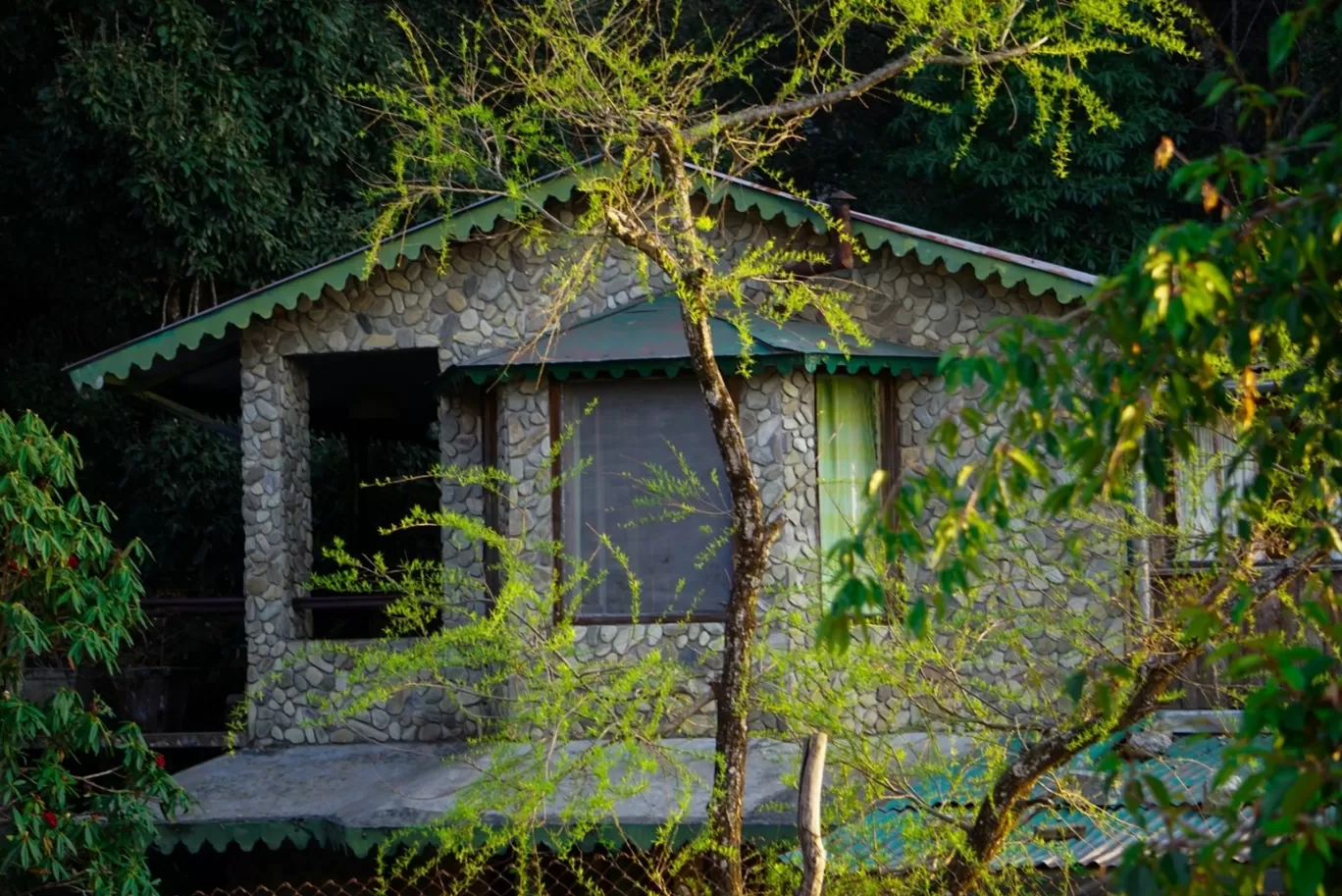 Photo of Pangot By Rajat Kamboj