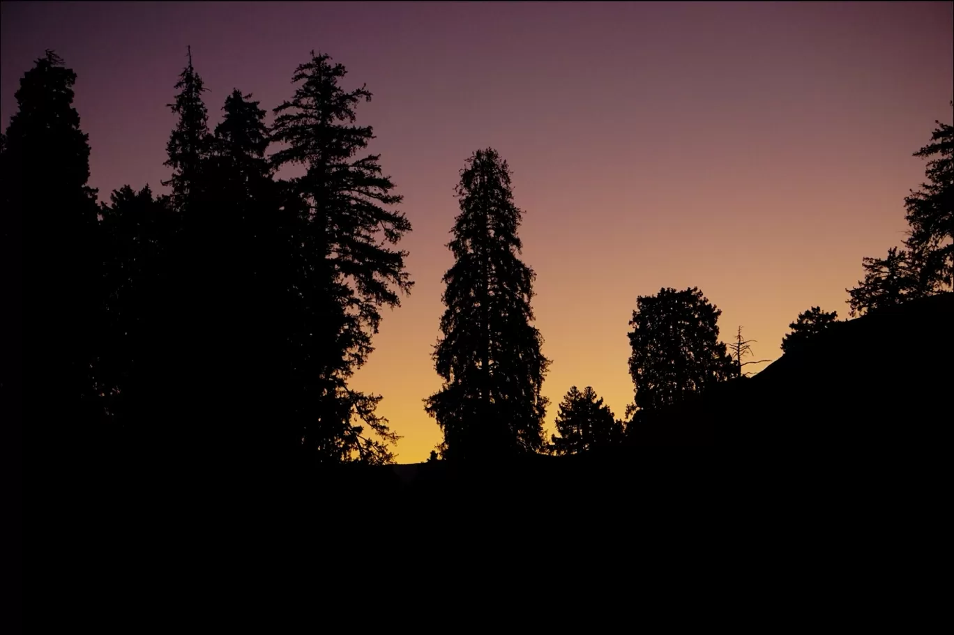 Photo of Manali By Rajat Kamboj