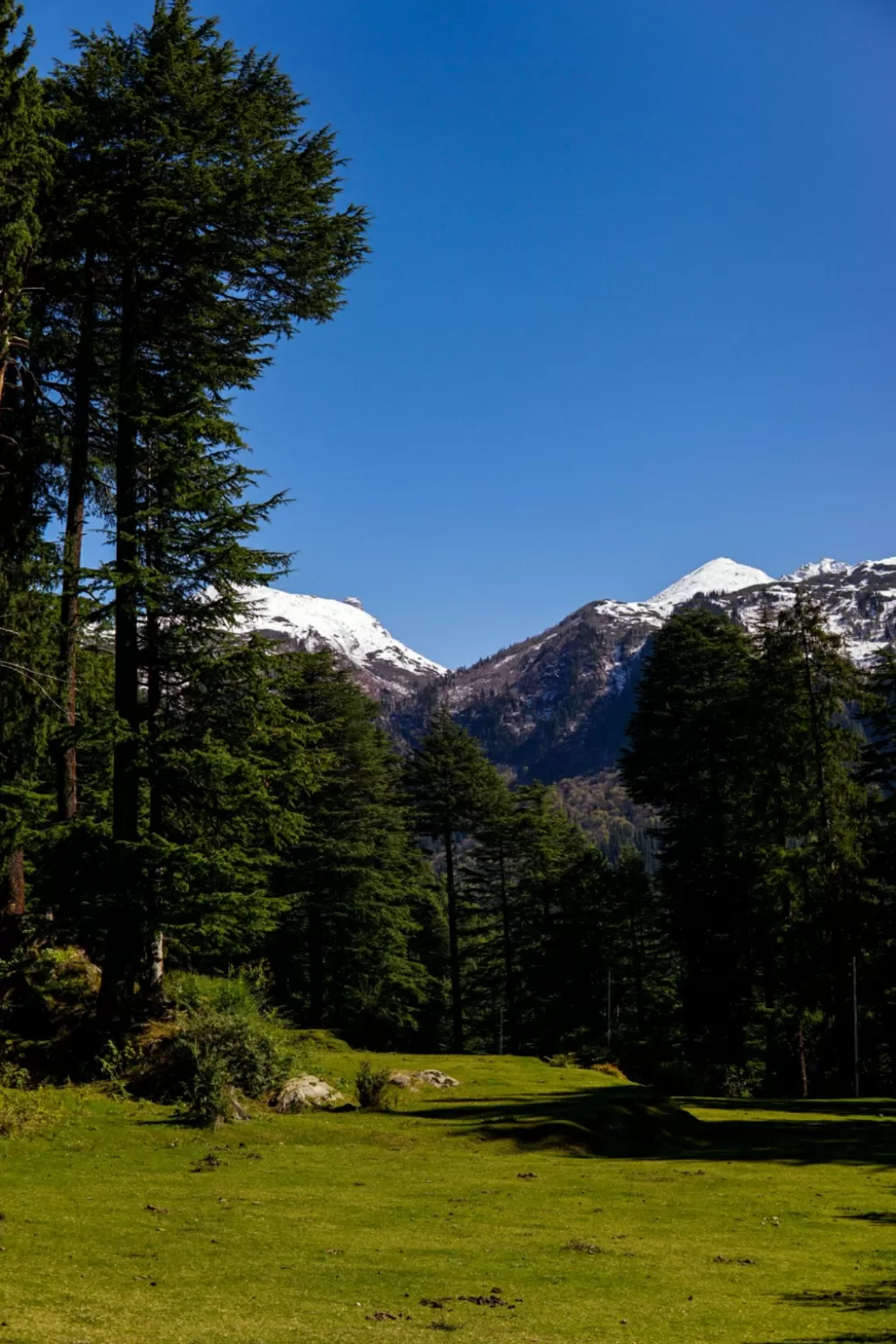 Photo of Manali By Rajat Kamboj