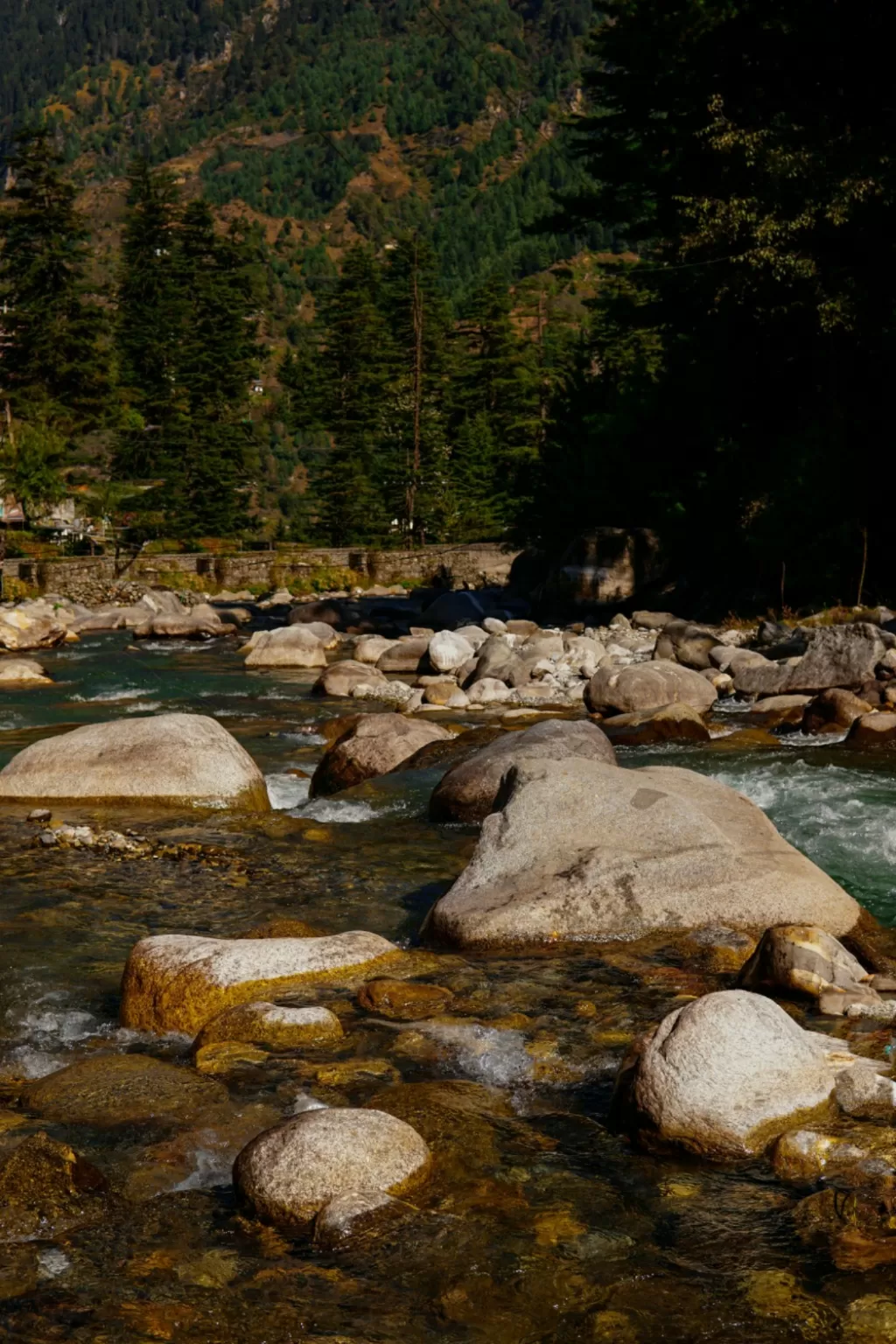 Photo of Manali By Rajat Kamboj