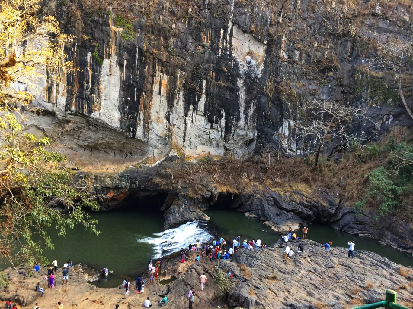 Photo of Dandeli By Saritha Krishnan