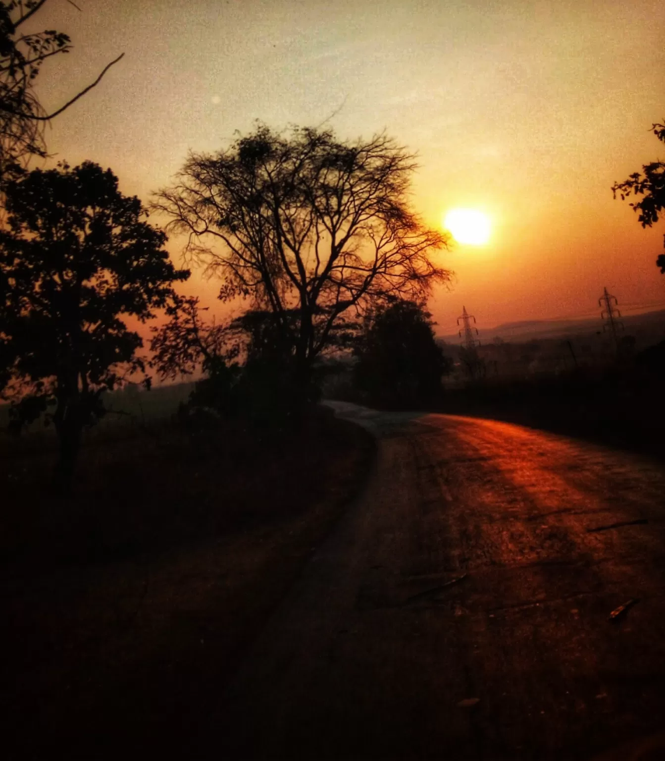 Photo of Dandeli By Saritha Krishnan