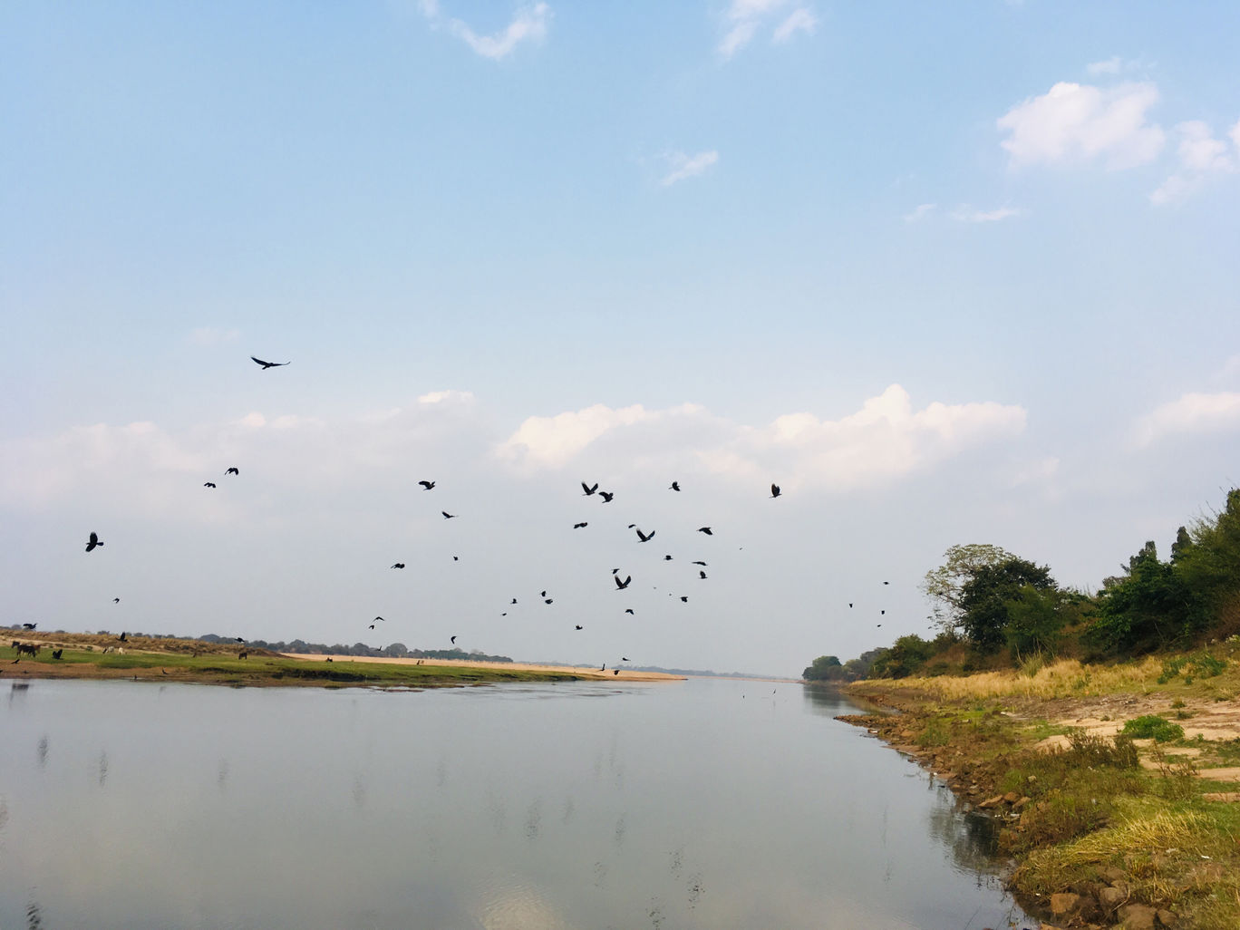Photo of Do You Know About Kayaking In Bhubaneswar? By Sushmit Surendran 