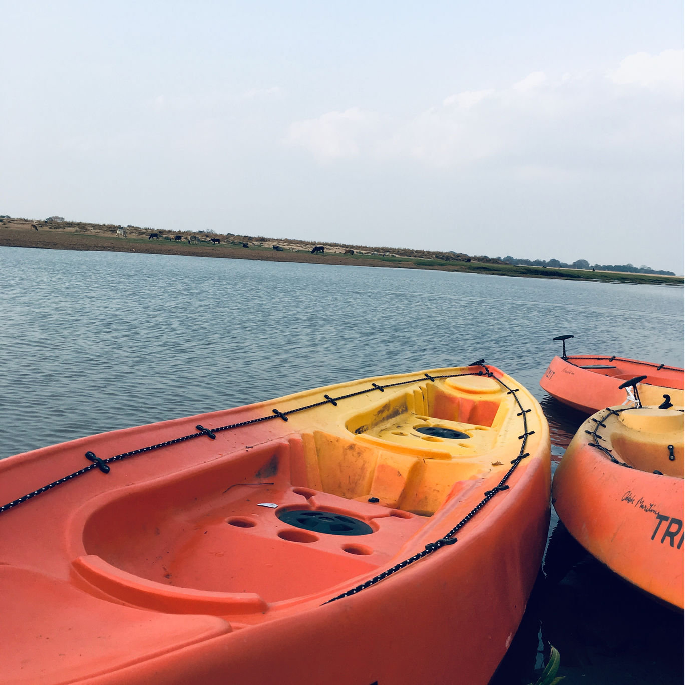 Photo of Do You Know About Kayaking In Bhubaneswar? By Sushmit Surendran 