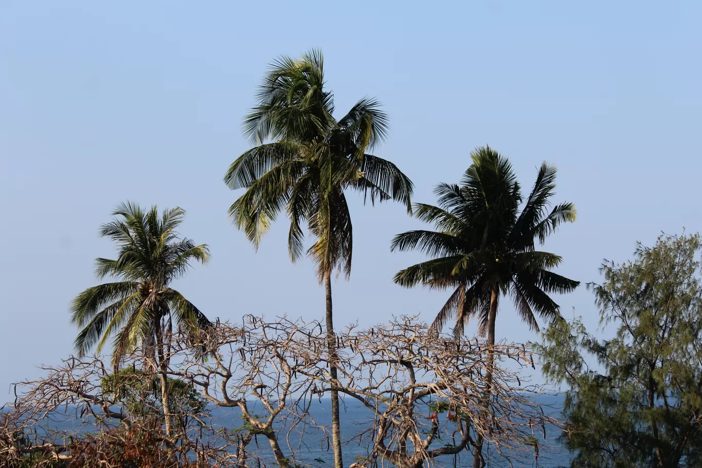 Photo of Andaman Islands By Soumay Kapoor