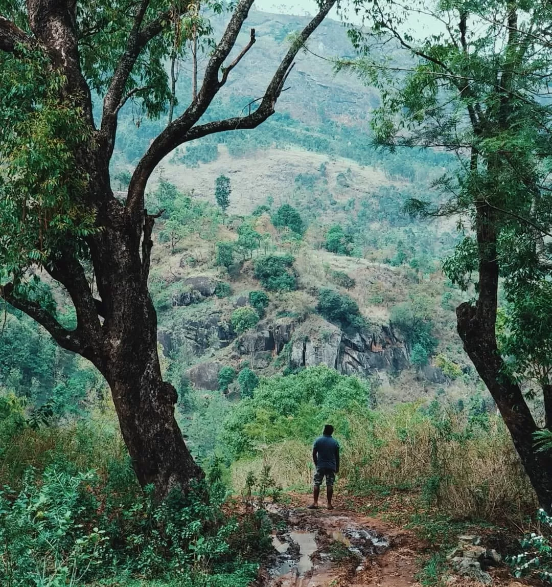 Photo of Munnar By wanderingdop