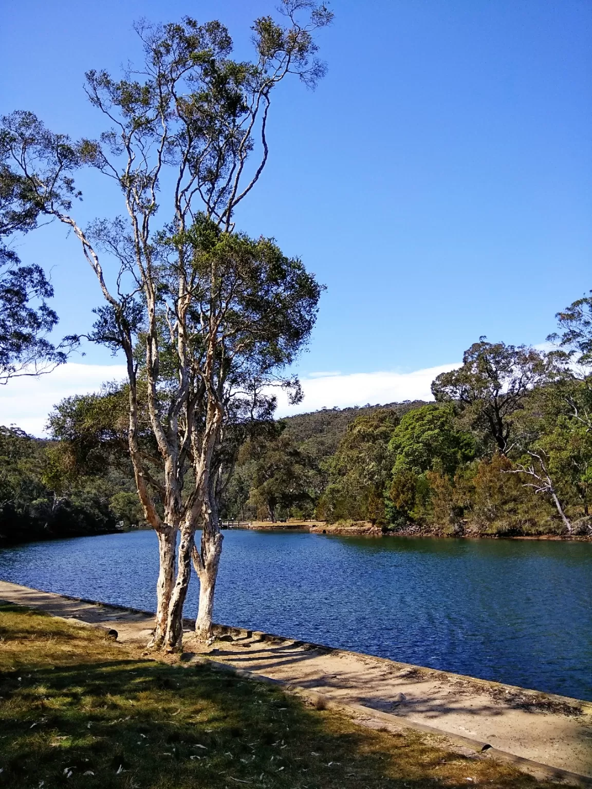 Photo of Canberra By wee_gypsy_soul