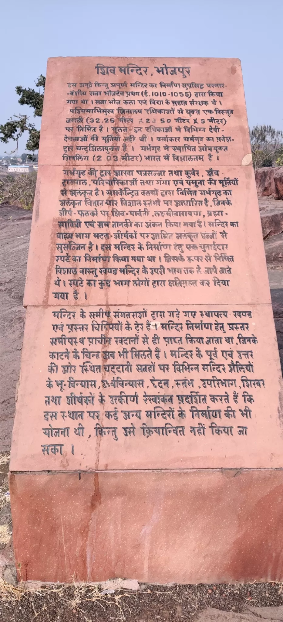Photo of Bhojpur Temple By The_Touristy_Soul
