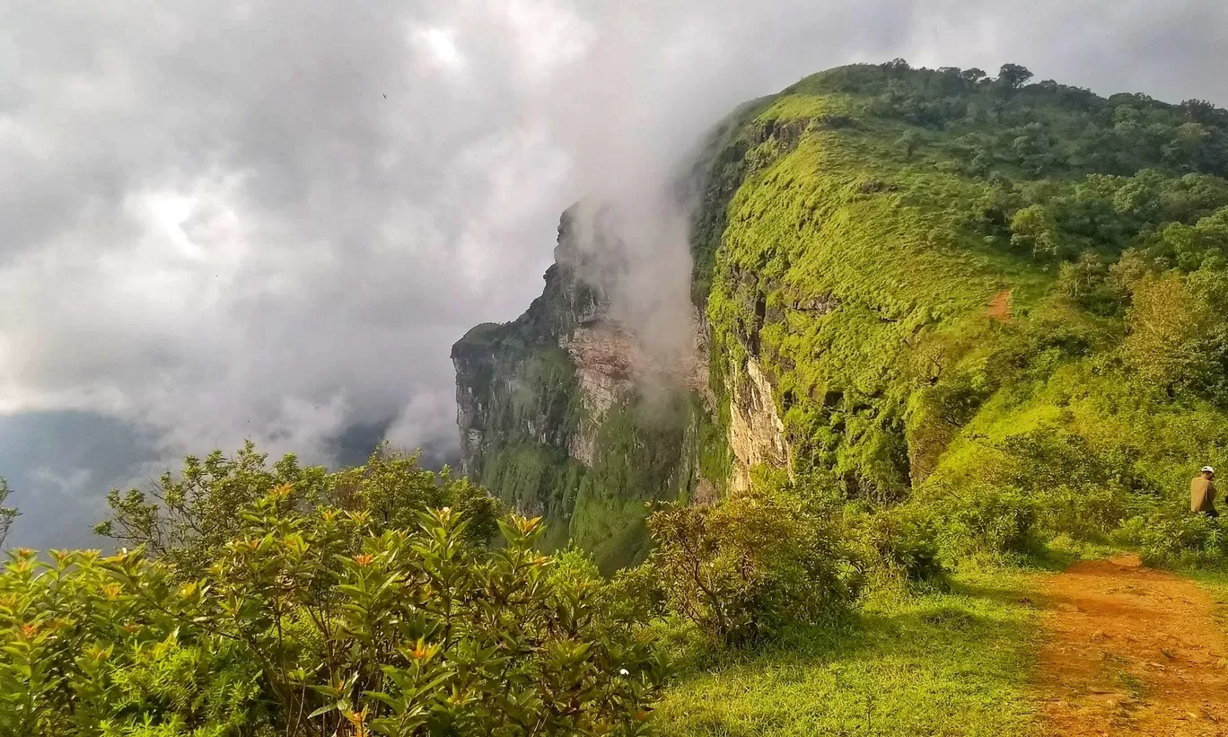 Photo of Western Ghats By Tanya Tiwari