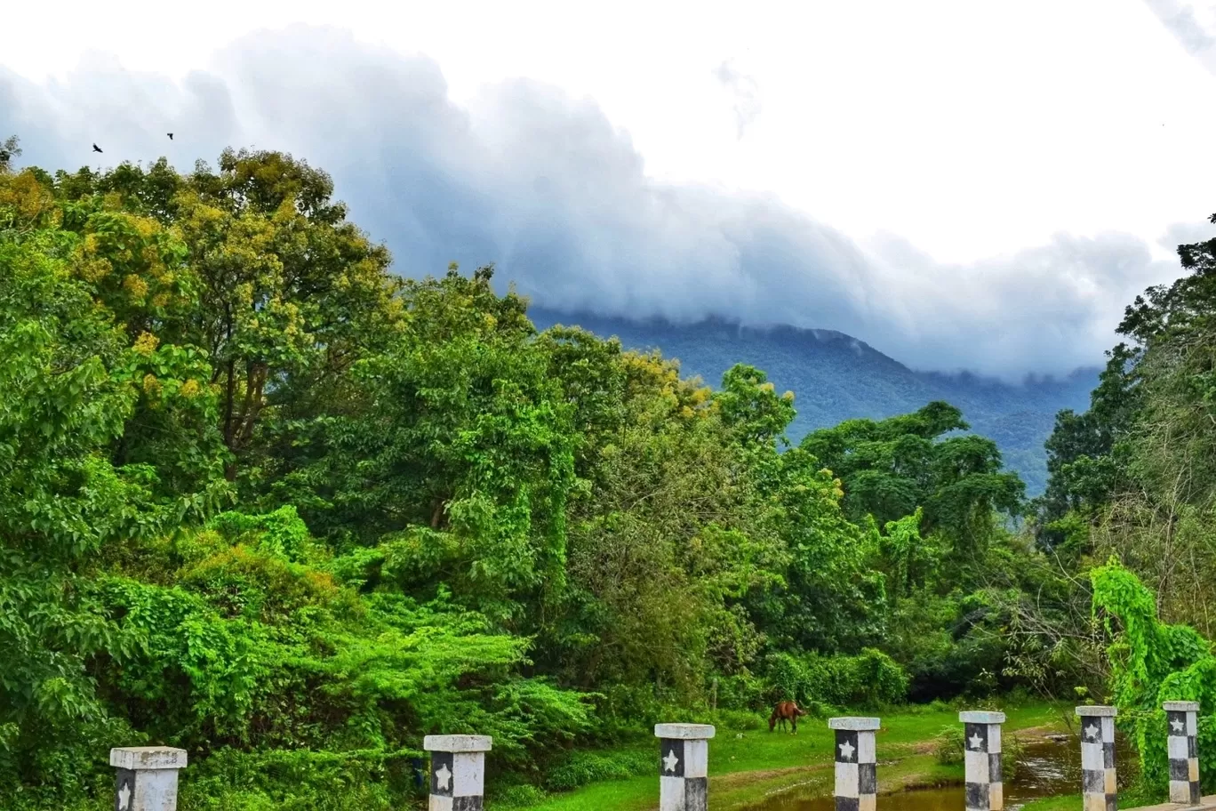 Photo of Western Ghats By Tanya Tiwari
