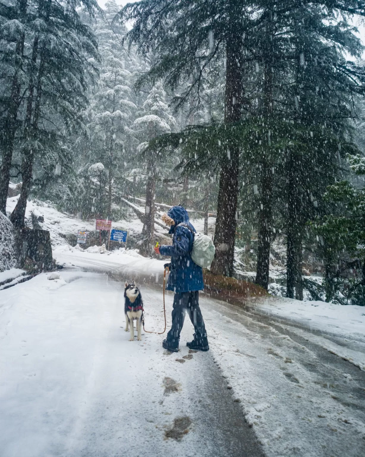 Photo of Khajjiar Himachal Pradesh By kanwar_photos