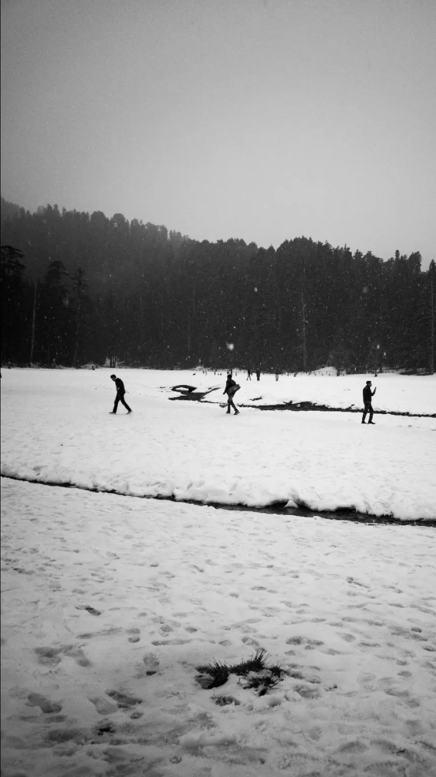 Photo of Khajjiar Himachal Pradesh By kanwar_photos