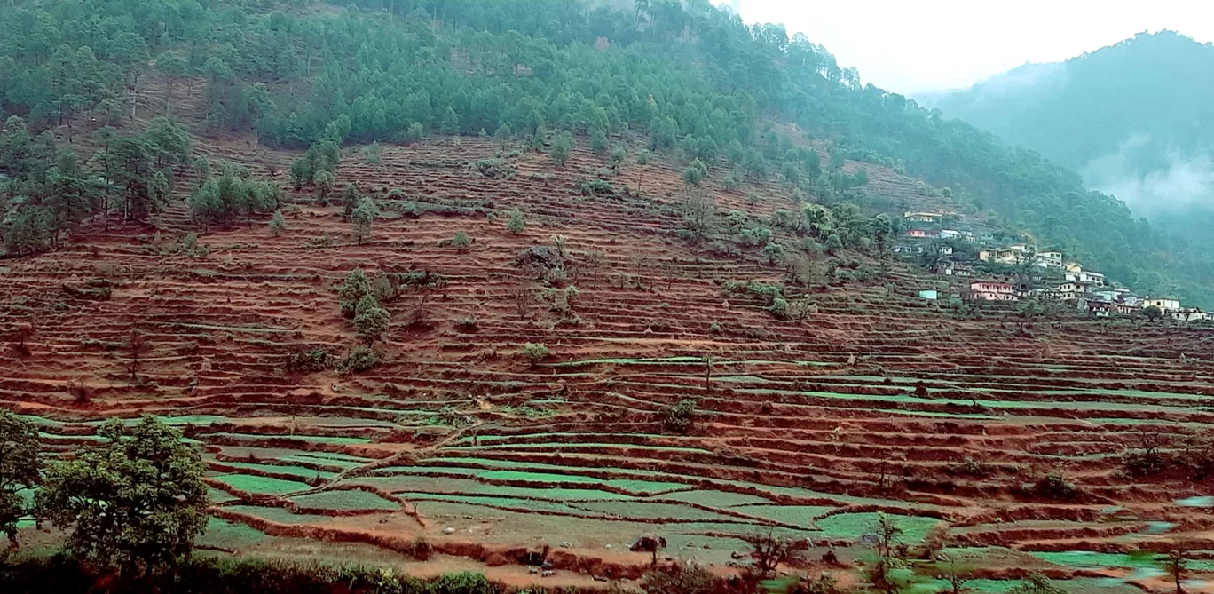 Photo of Uttarakhand By Rinky Palrecha