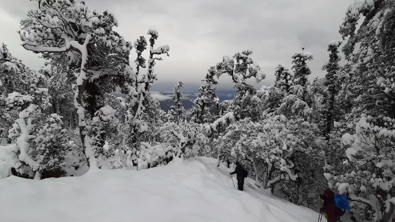 Photo of Uttarakhand By Rinky Palrecha
