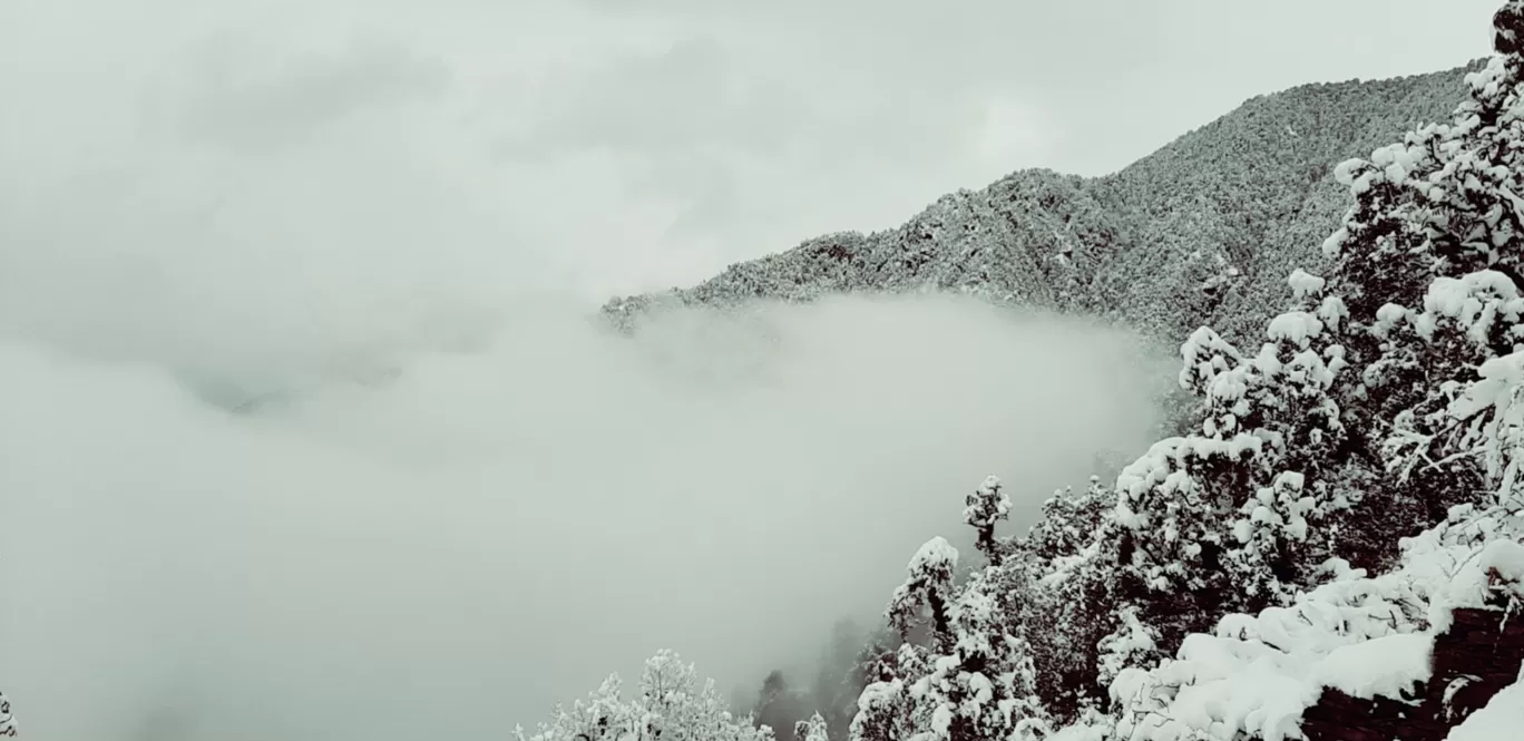 Photo of Uttarakhand By Rinky Palrecha