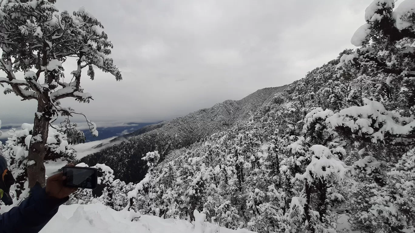 Photo of Uttarakhand By Rinky Palrecha