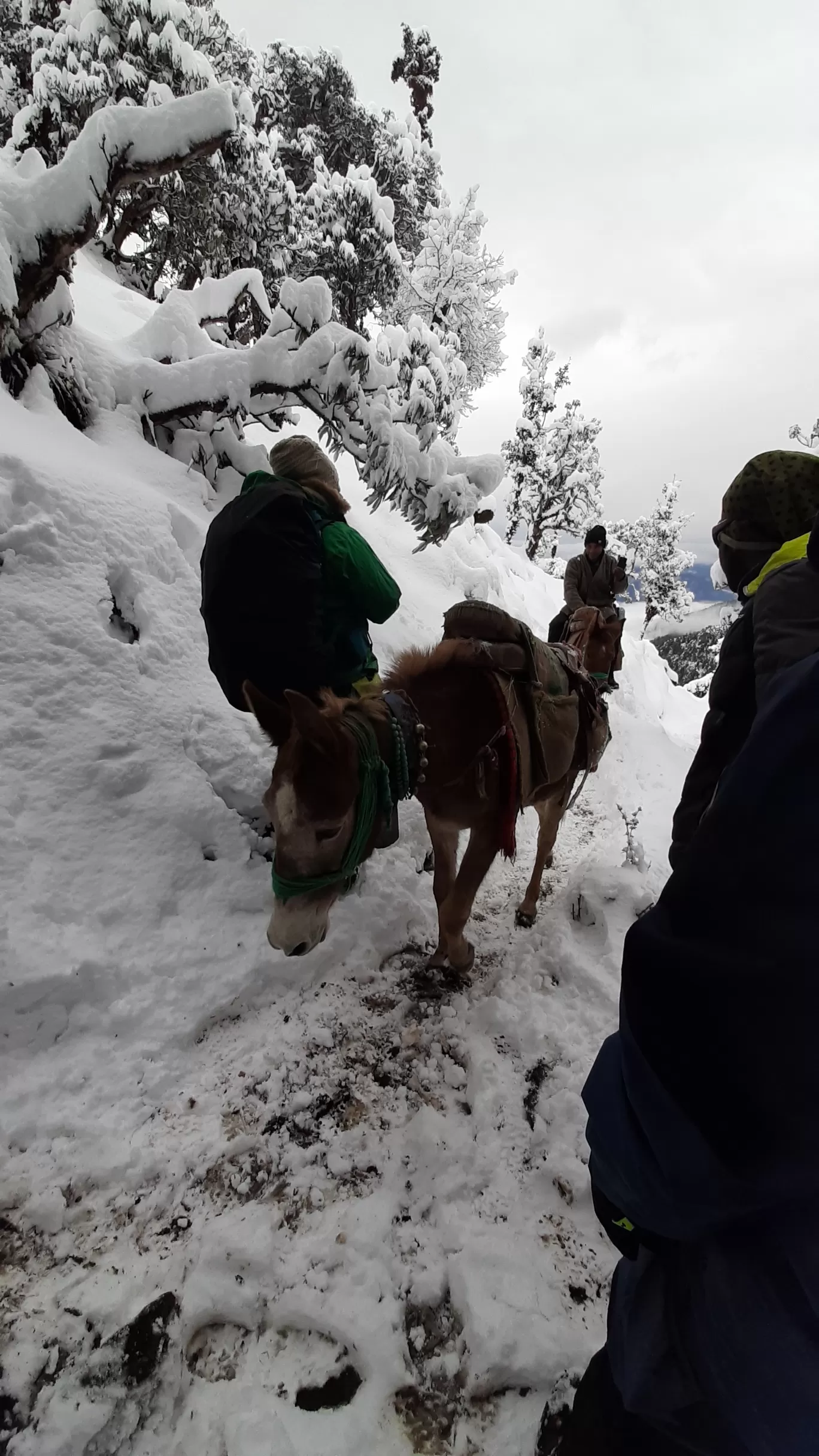 Photo of Uttarakhand By Rinky Palrecha