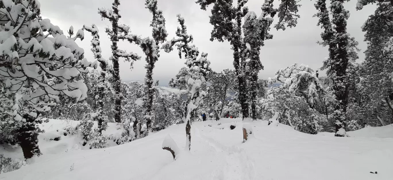 Photo of Uttarakhand By Rinky Palrecha