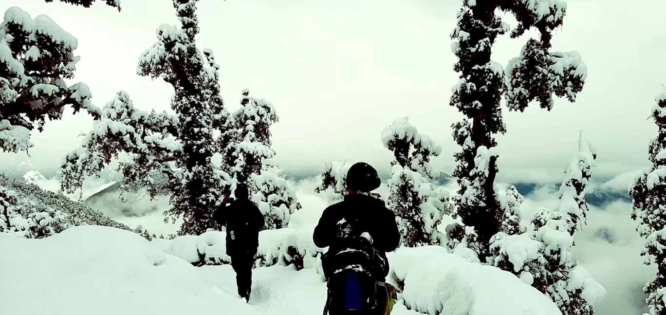Photo of Uttarakhand By Rinky Palrecha