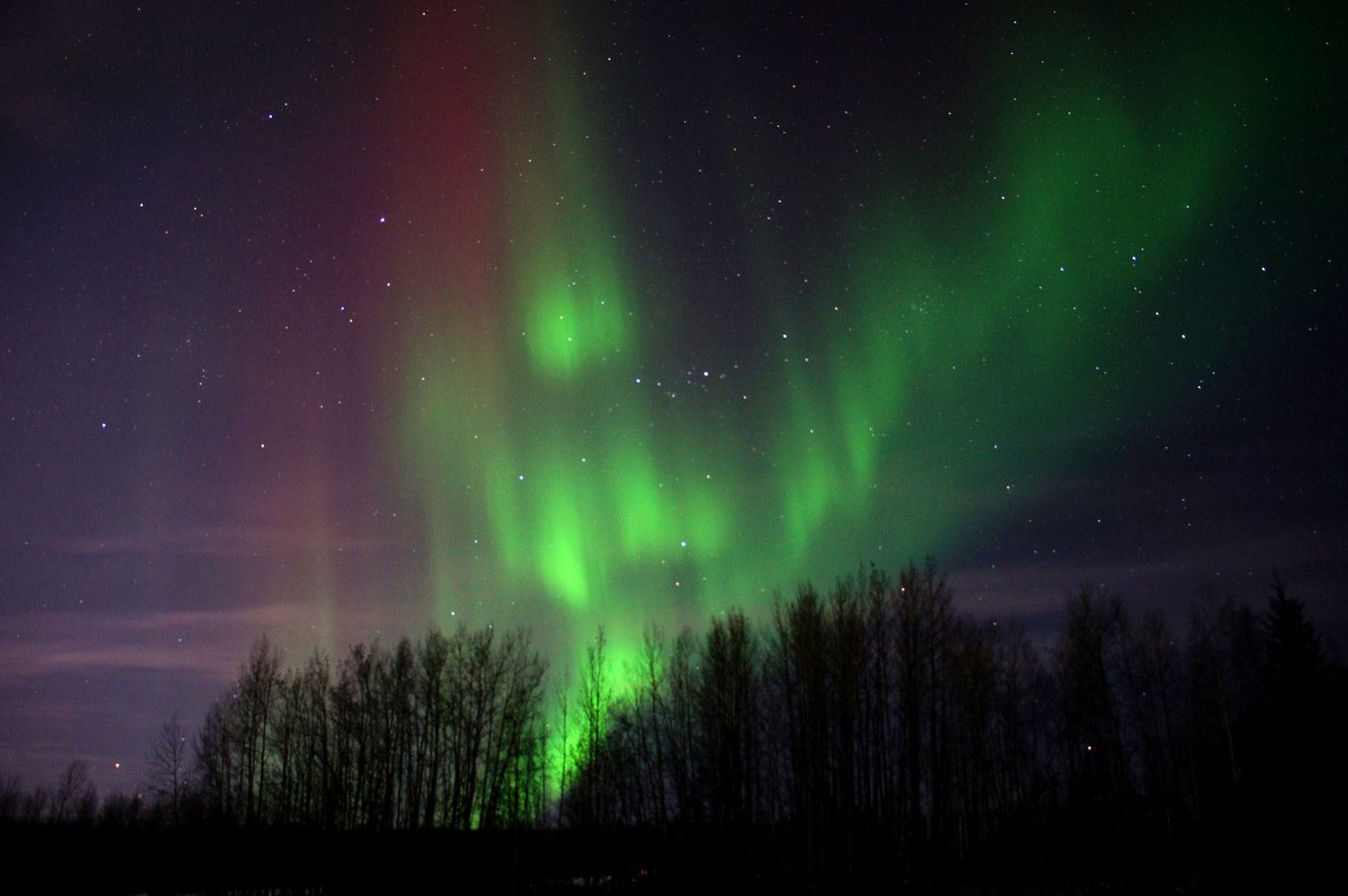 Photo of The Last Frontier - Alaska By David Shih