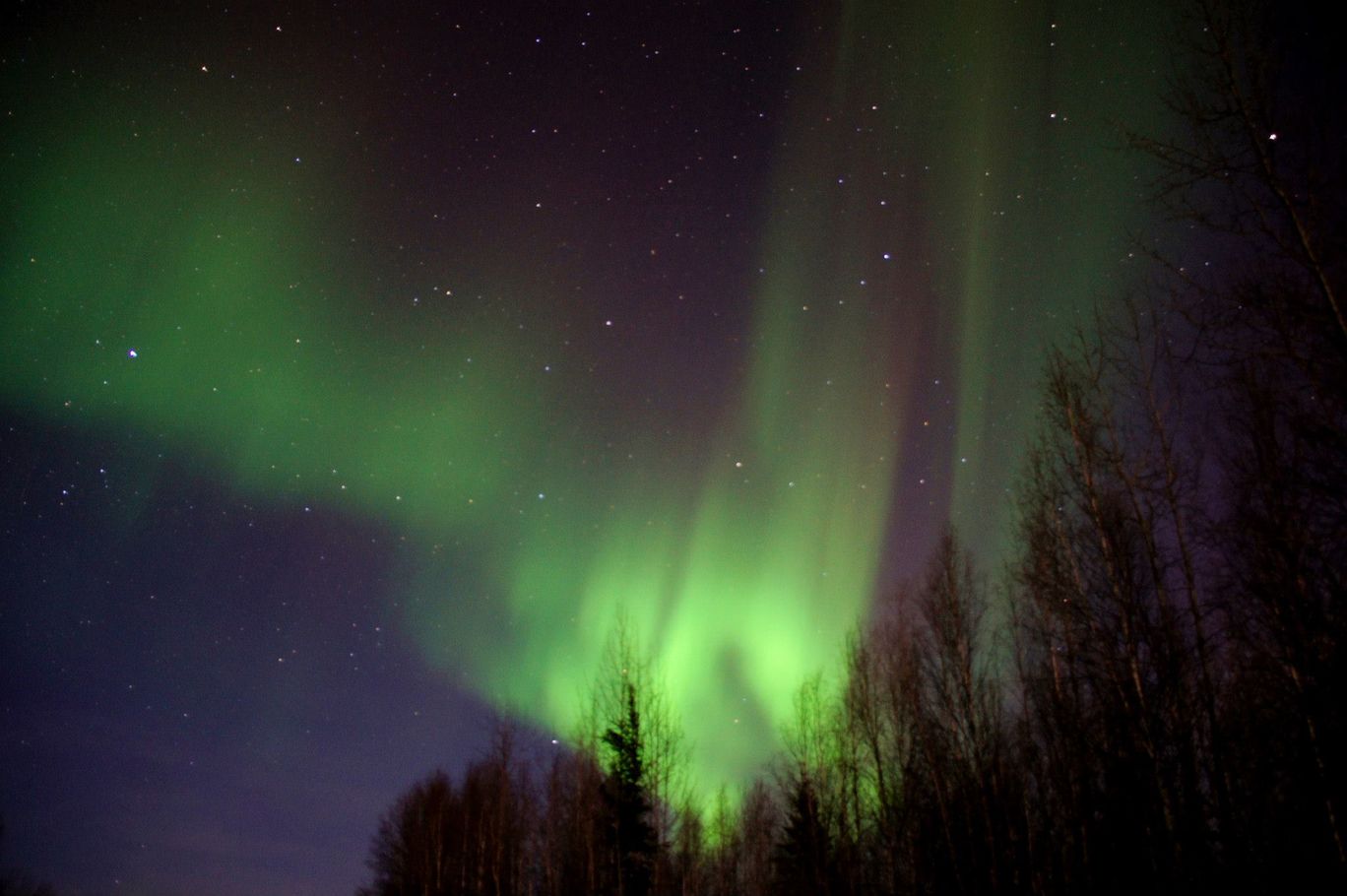 Photo of The Last Frontier - Alaska By David Shih